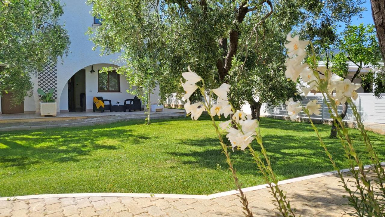 Hotel Residence Torre Del Porto Mattinata Ngoại thất bức ảnh