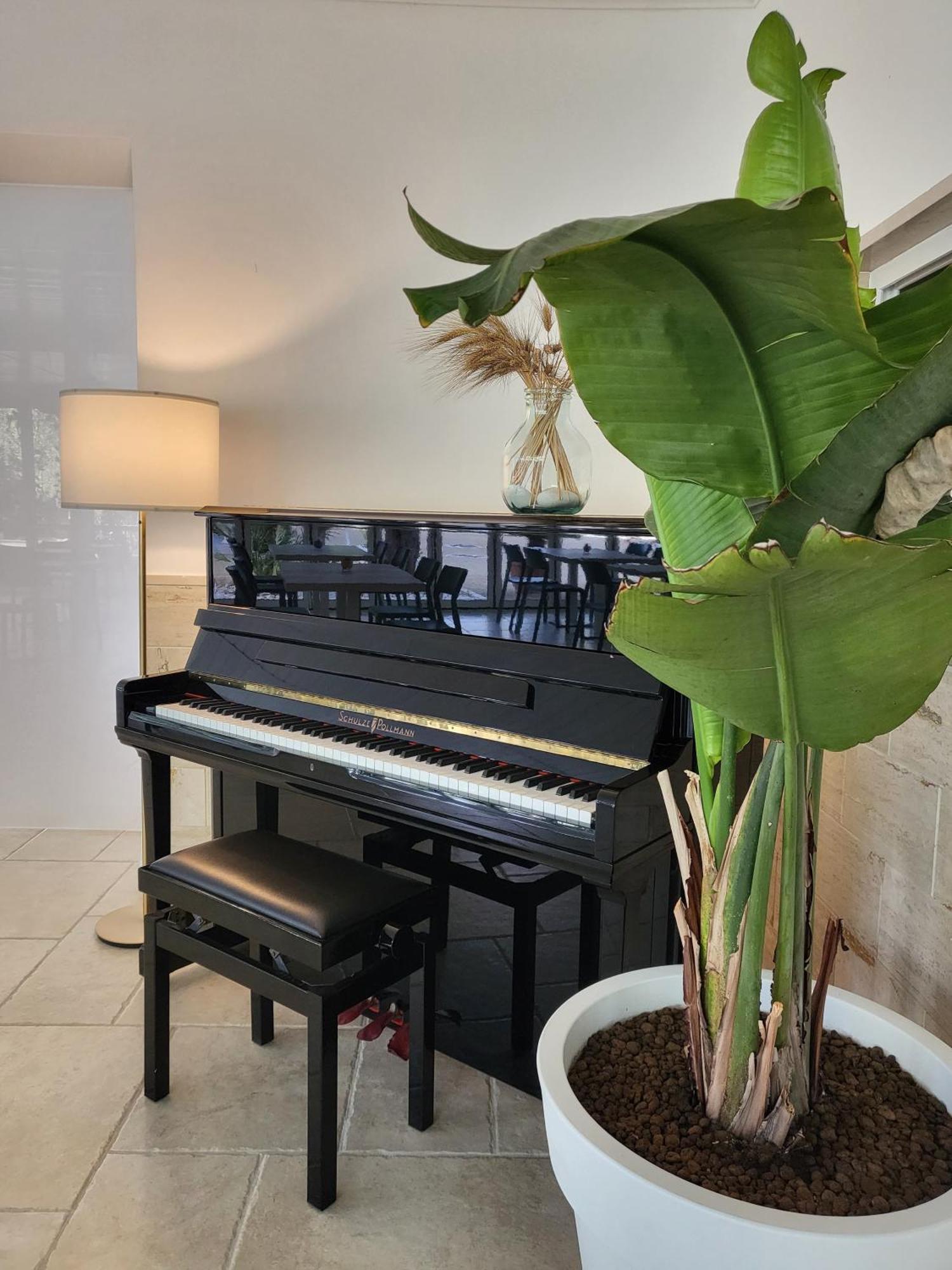 Hotel Residence Torre Del Porto Mattinata Ngoại thất bức ảnh
